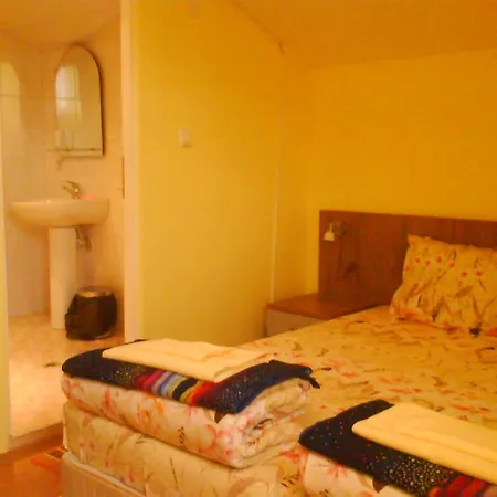 Aleks Guest house 2*