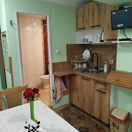 Aleks Guest house 2*