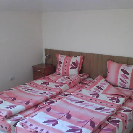 Aleks Guest house 2*