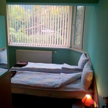 Aleks Guest house 2*
