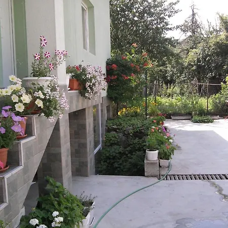 Aleks Guest house