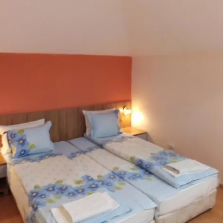 Guest house Aleks 2*