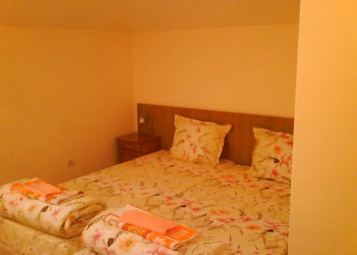 Pensjonat Aleks Samokow