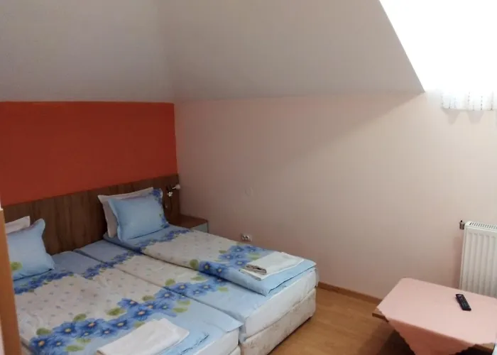 Aleks Pensjonat Samokow