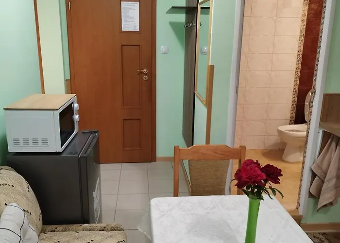 Pensjonat Aleks Samokow